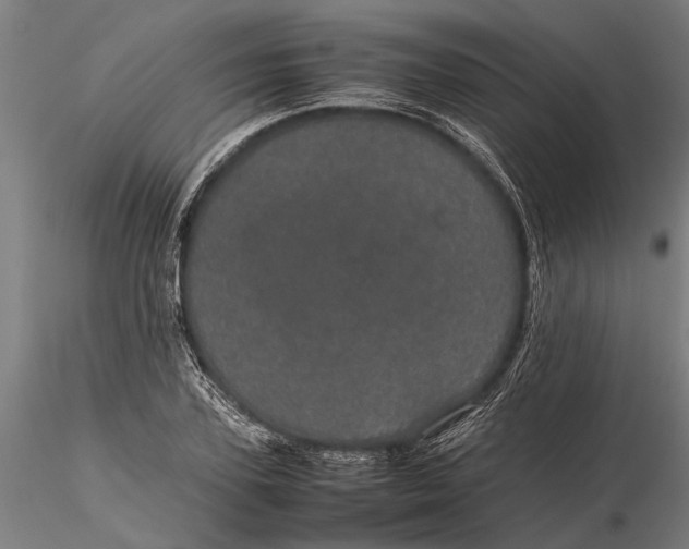 X0000116120931200912141042