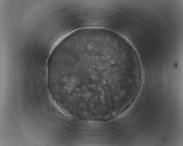 X0000116120933200912141042