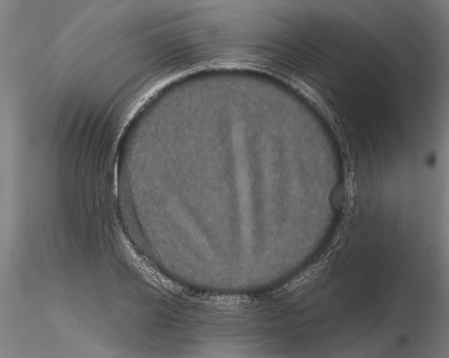 X0000116120934200912141042