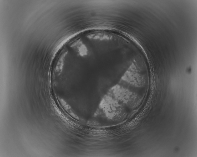 X0000116120935200912141042