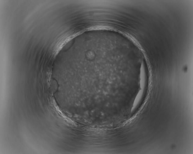 X0000116120937200912141042