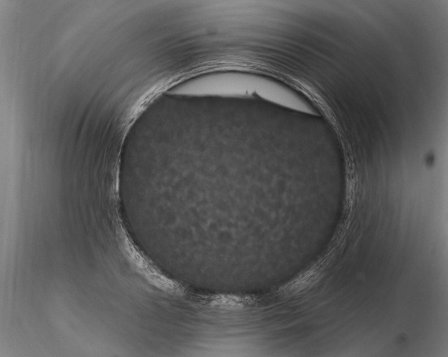 X0000116120938200912141042