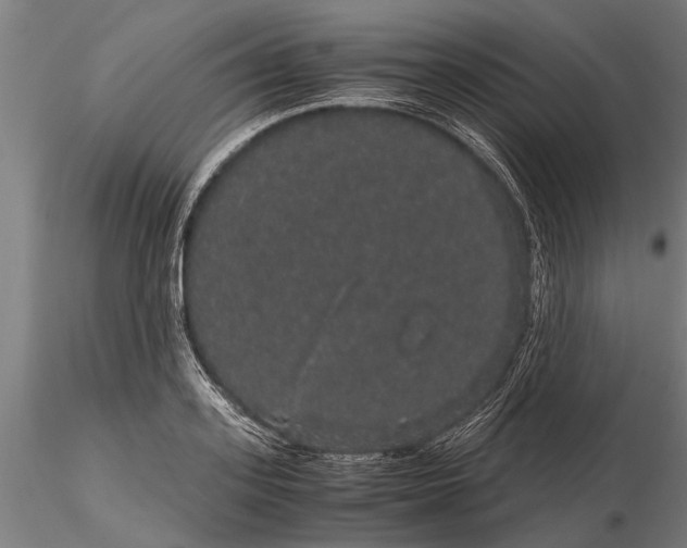 X0000116120939200912141042