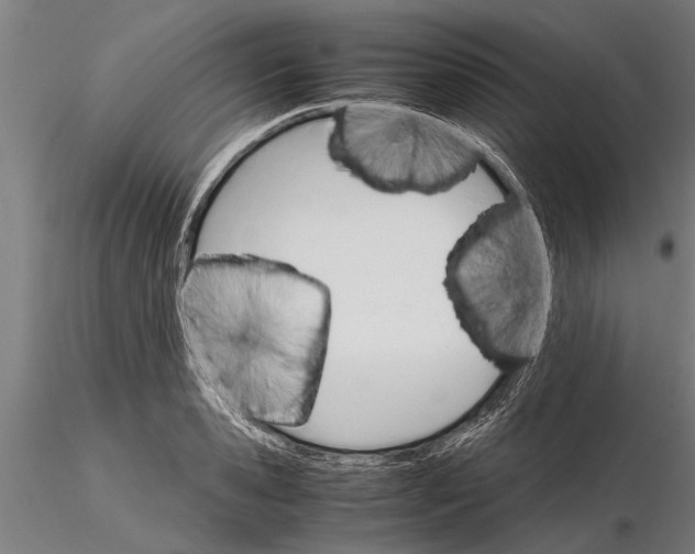 X0000116120941200912141042