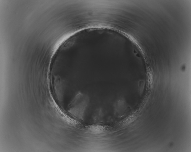 X0000116120943200912141042