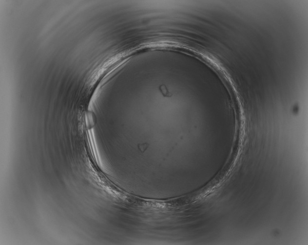 X0000116120945200912141042