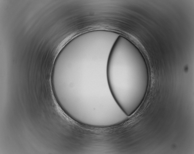 X0000116120946200912141042