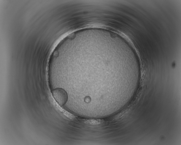 X0000116120947200912141042