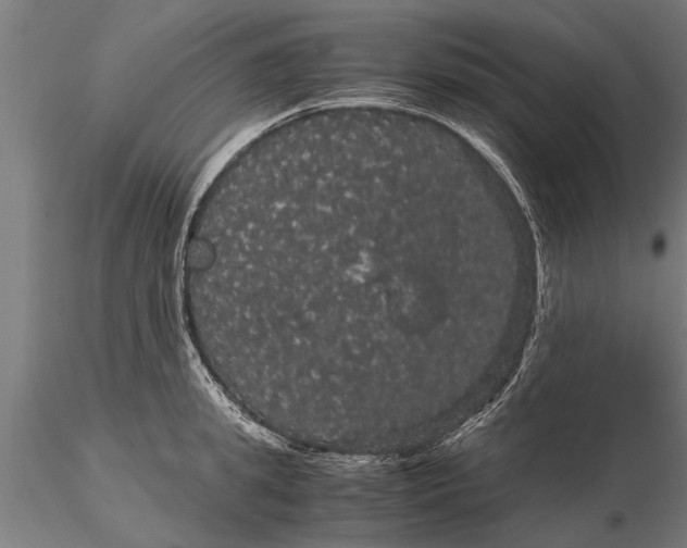 X0000116120949200912141042