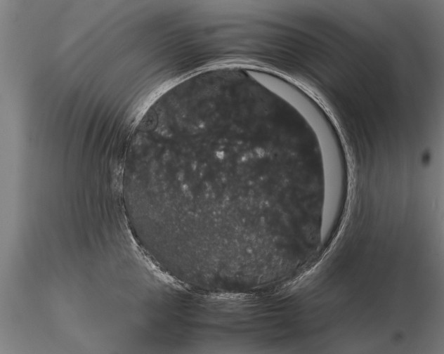 X0000116120953200912141042