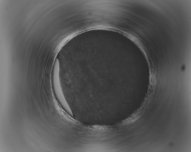 X0000116120954200912141042