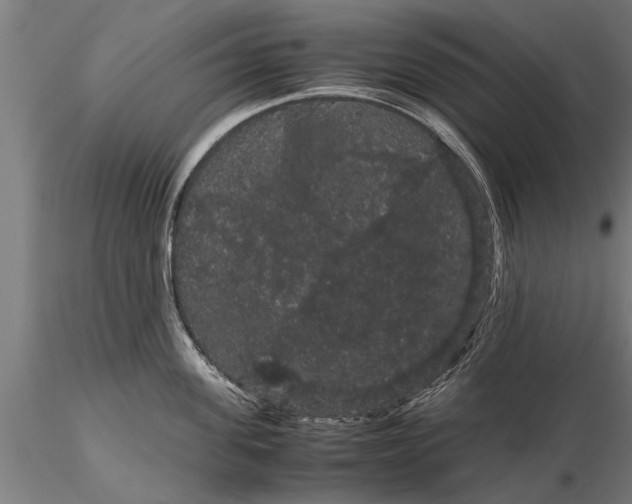 X0000116120955200912141042