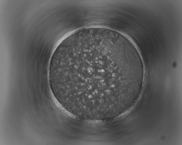 X0000116120957200912141042