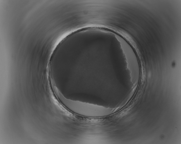 X0000116120958200912141042