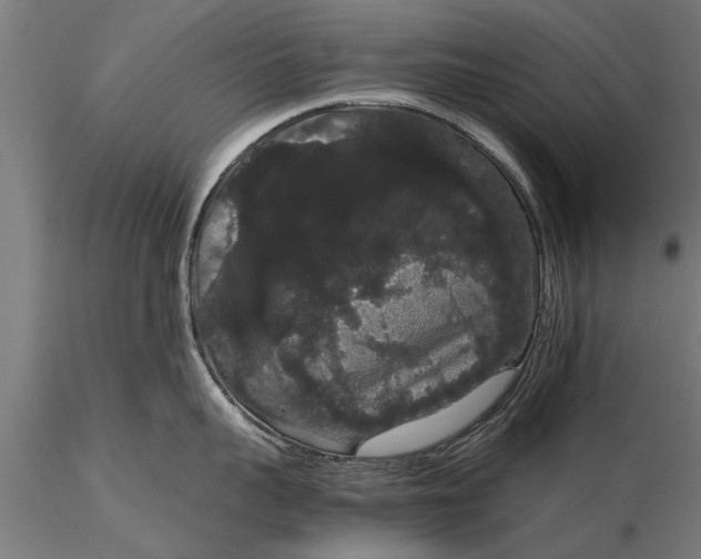 X0000116120959200912141042