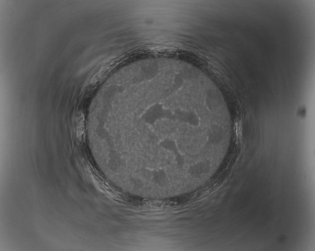 X0000116120963200912141041