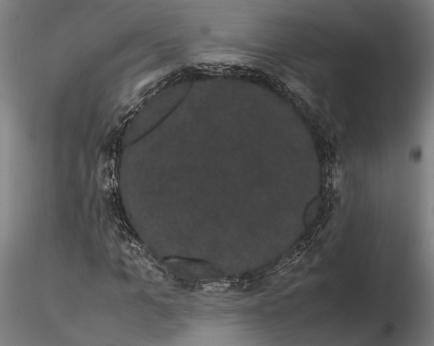 X0000116120965200912141041