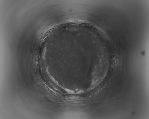 X0000116120966200912141041