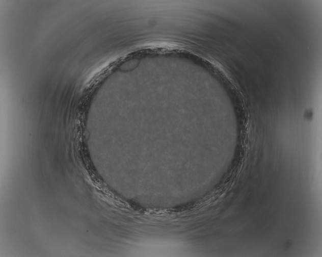 X0000116120967200912141041