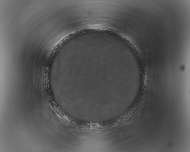 X0000116120968200912141041