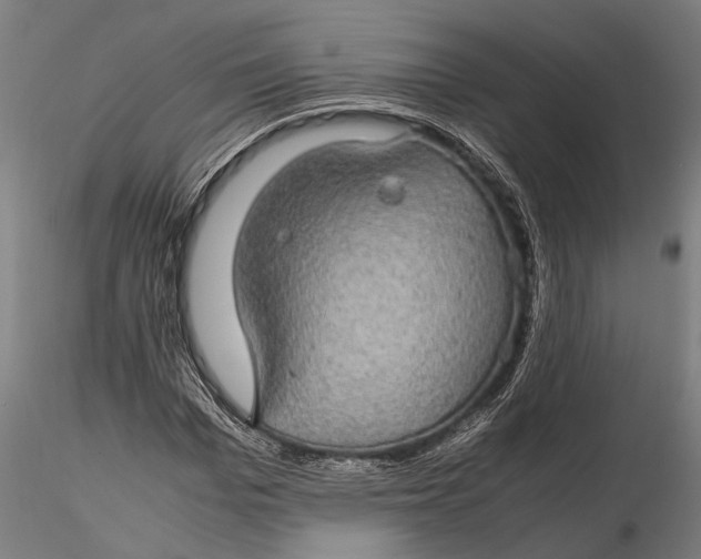 X0000116120969200912141041