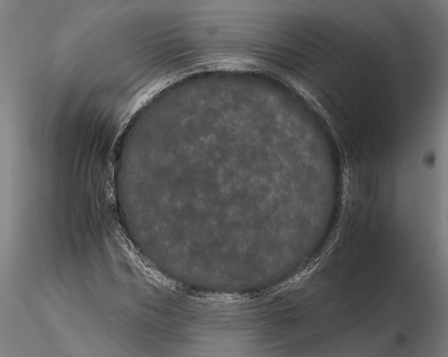 X0000116120970200912141041