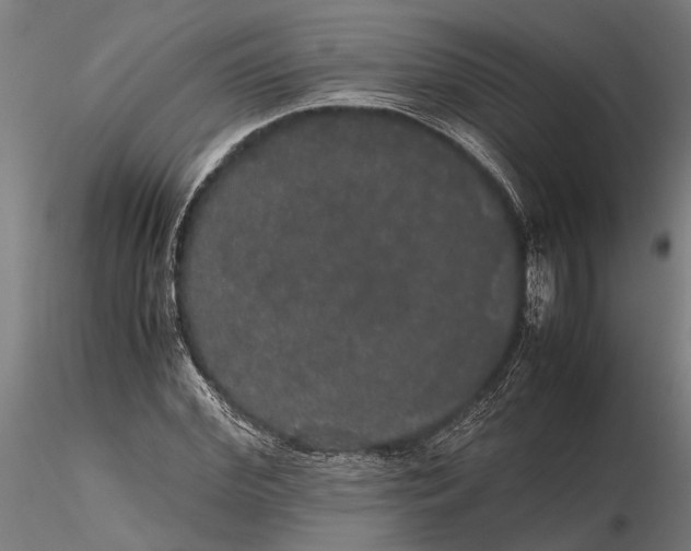 X0000116120972200912141041