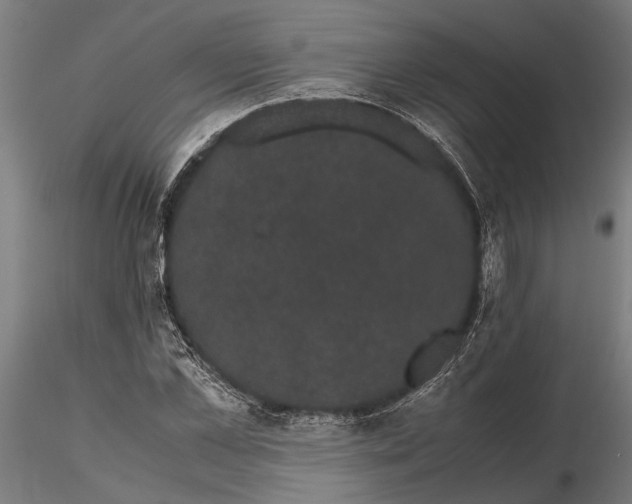 X0000116120973200912141041