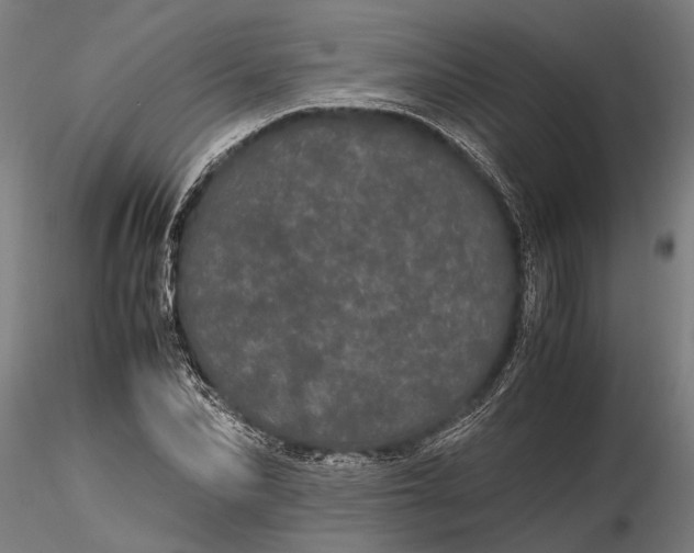 X0000116120974200912141041