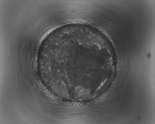 X0000116120975200912141041