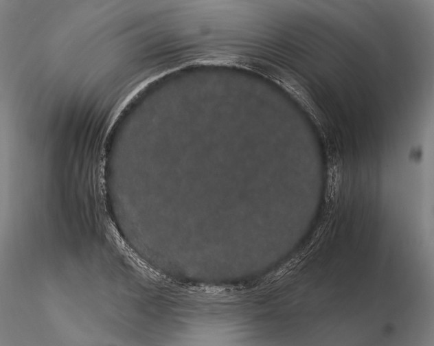 X0000116120976200912141041