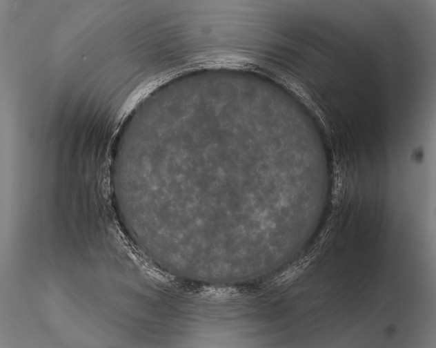 X0000116120978200912141041