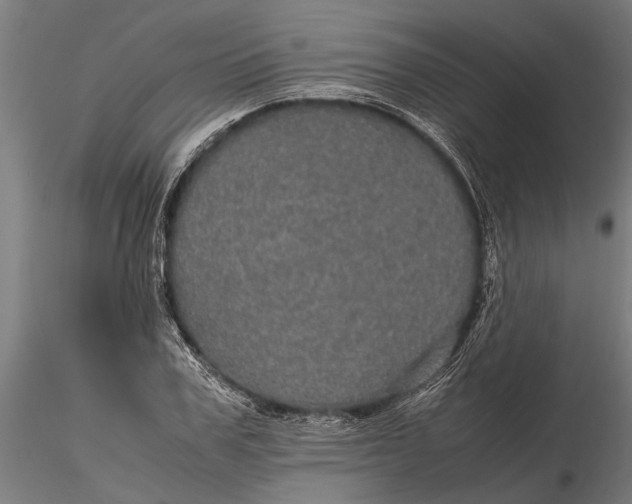 X0000116120979200912141041