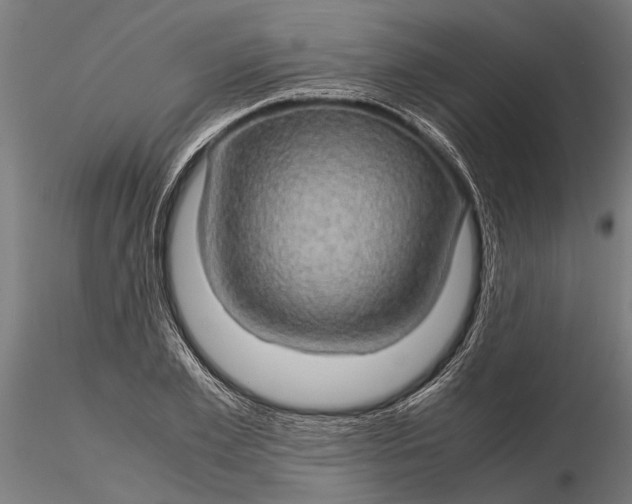 X0000116120981200912141041