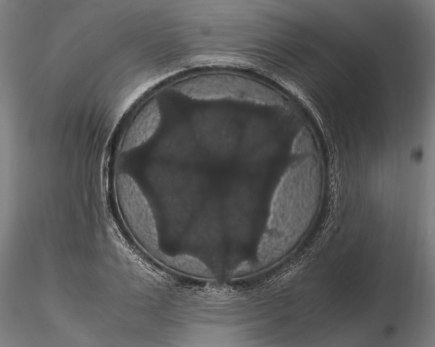 X0000116120983200912141041