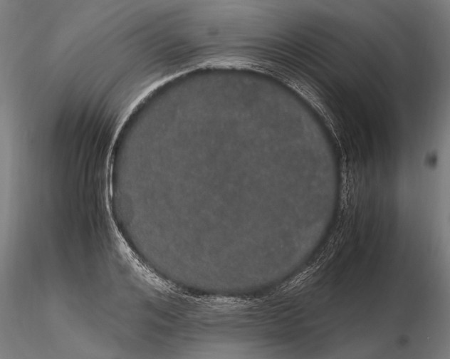 X0000116120984200912141041