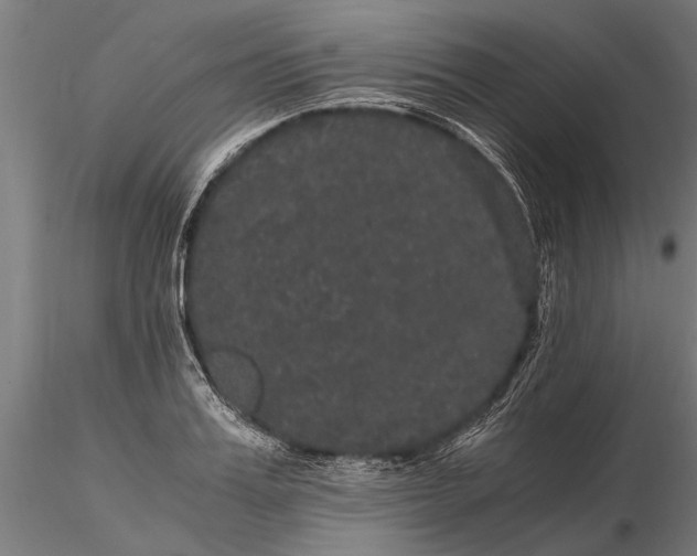 X0000116120987200912141041