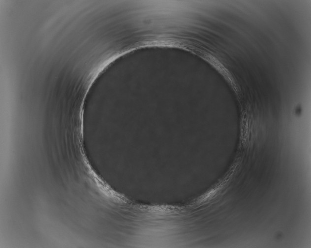 X0000116120988200912141041