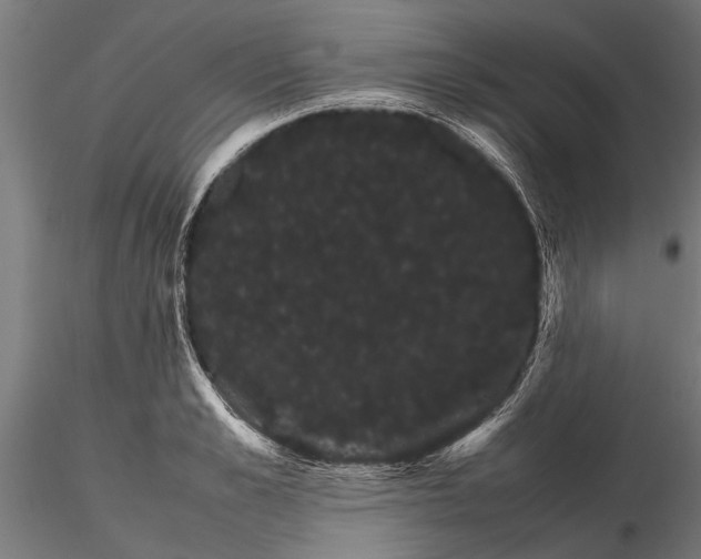 X0000116120989200912141041