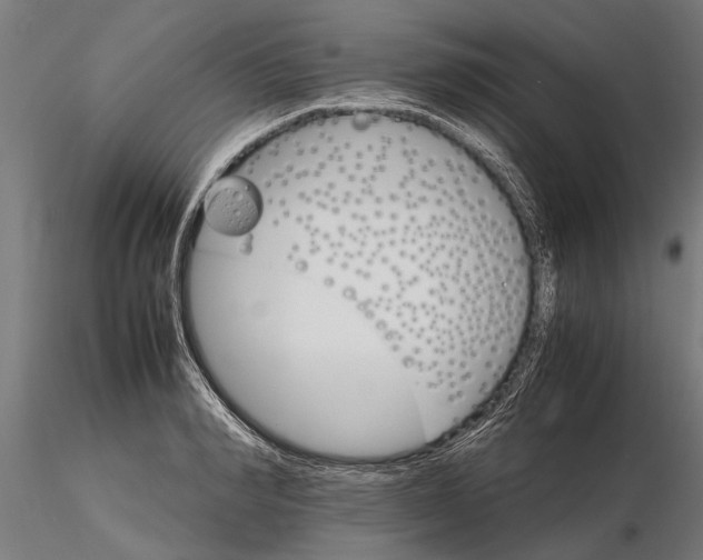 X0000116120990200912141041