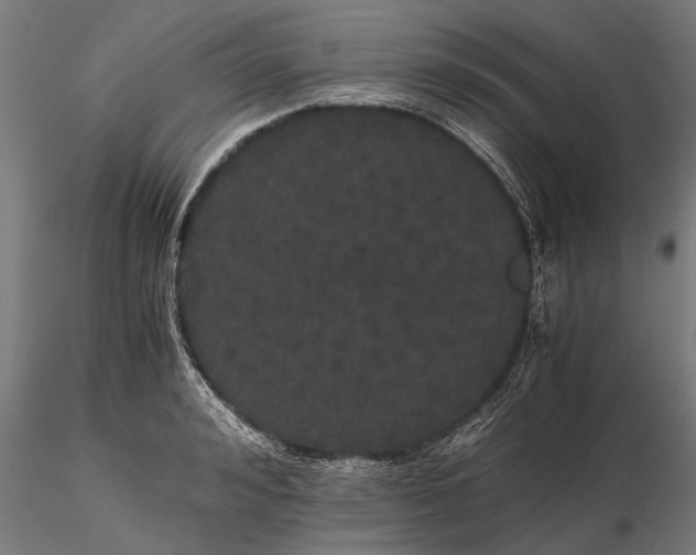 X0000116120992200912141041