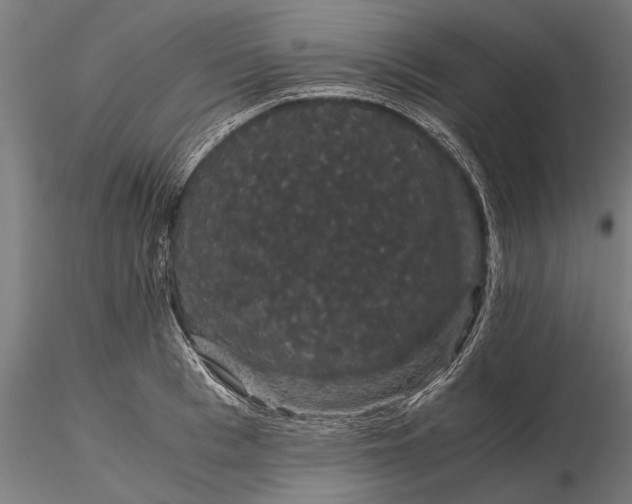 X0000116120993200912141041