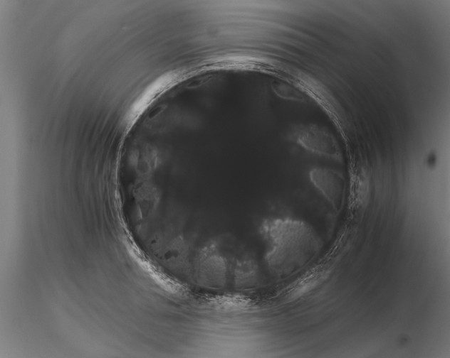 X0000116120994200912141041