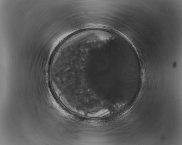 X0000116120995200912141041