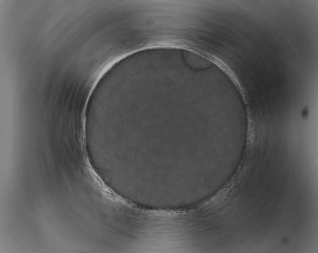 X0000116120996200912141041