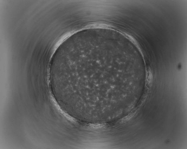 X0000116120997200912141041