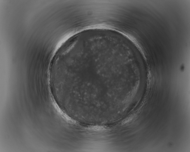 X0000116120998200912141041