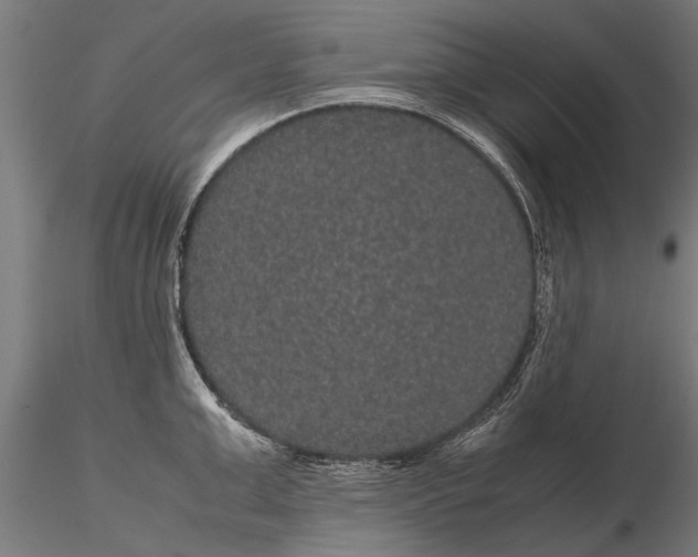 X0000116120999200912141041