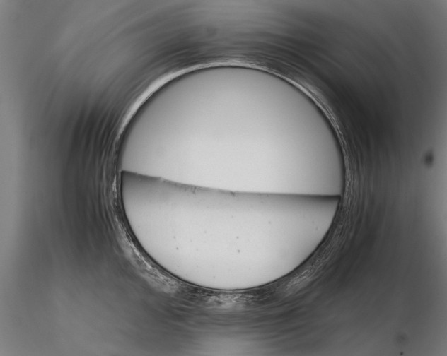 X0000116121000200912141041