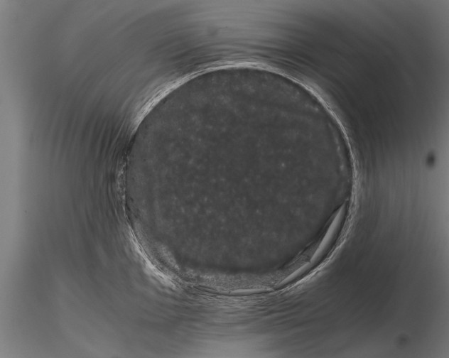 X0000116121001200912141041